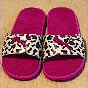 Puma cheetah slides
